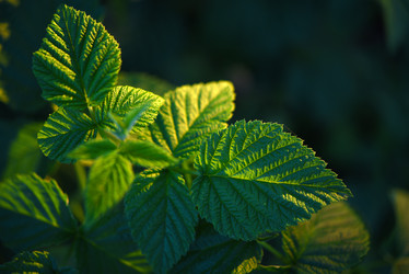 Similar image 22002234