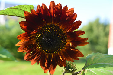 Similar image 22002235