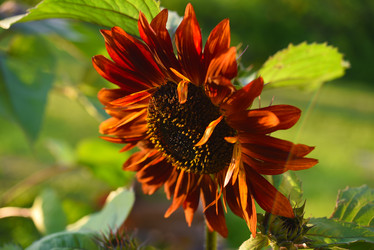 Similar image 22002238