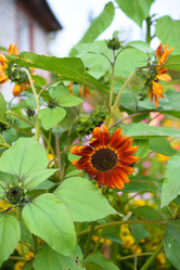 Similar image 22002239