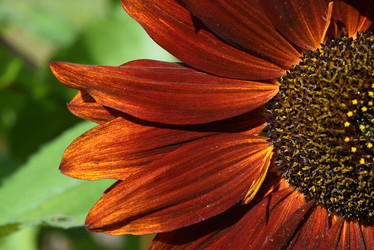 Similar image 22002241