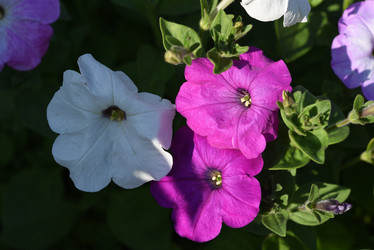 Similar image 22002245