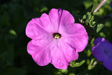 Similar image 22002246