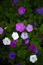 Similar image 22002247