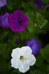 Similar image 22002248