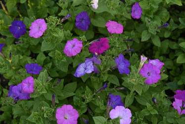 Similar image 22002249