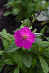 Similar image 22002250