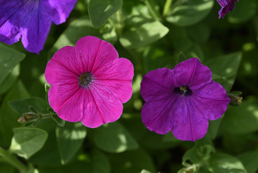 Similar image 22002252