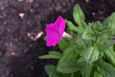 Similar image 22002253