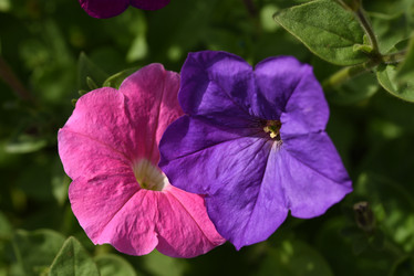 Similar image 22002254