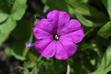 Similar image 22002255