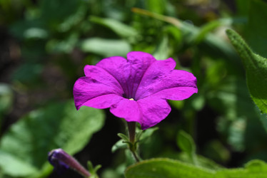 Similar image 22002256