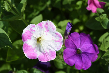 Similar image 22002257