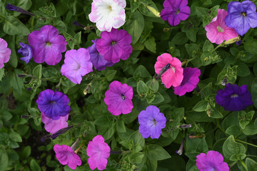 Similar image 22002258