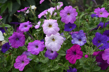 Similar image 22002259