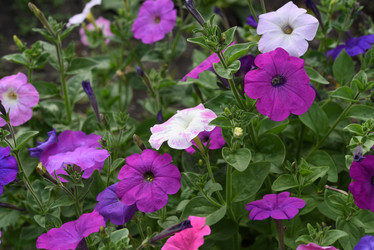 Similar image 22002260