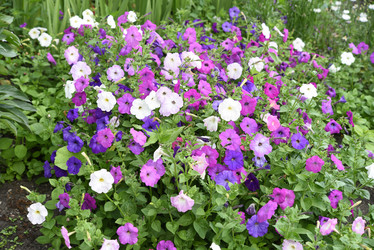 Similar image 22002265