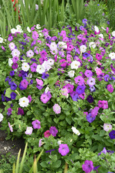 Similar image 22002266