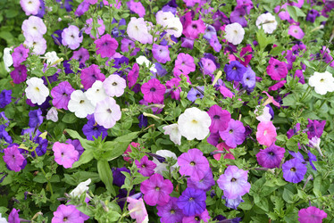 Similar image 22002267