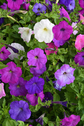 Similar image 22002268