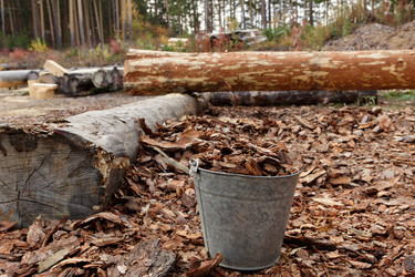 Similar image 22002041