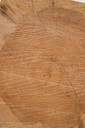 Similar image 22002042