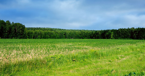 Similar image 22001952