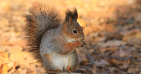 Similar image 22001954