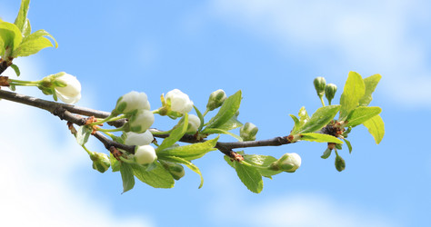 Similar image 22001955