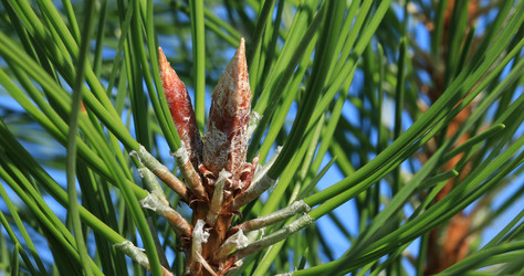 Similar image 22001956