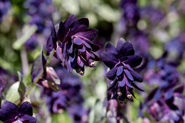 Similar image 22007558