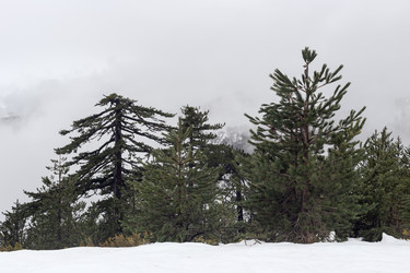 Similar image 22018259