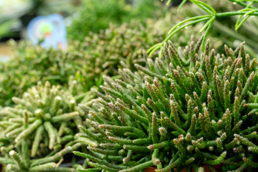 Similar image 22014978