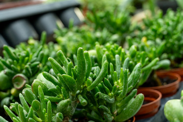 Similar image 22014979