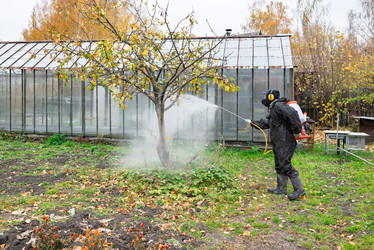 Similar image 22002066