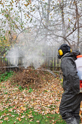 Similar image 22002067