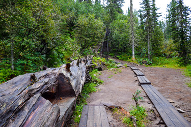 Similar image 22001997