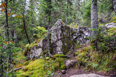 Similar image 22002000