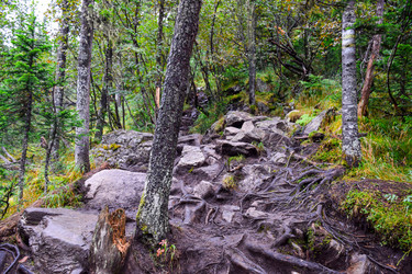 Similar image 22002001