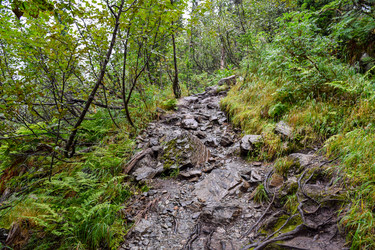 Similar image 22002002