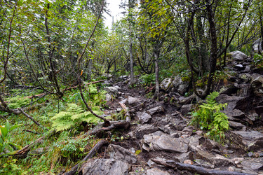 Similar image 22002004