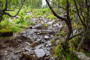 Similar image 22002020