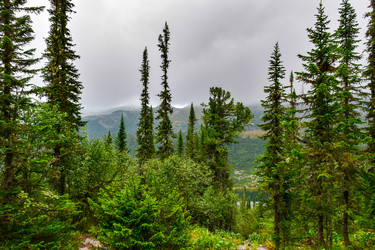 Similar image 22002022