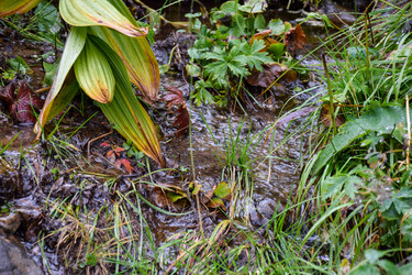 Similar image 22002024