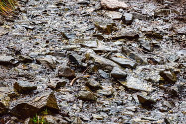 Similar image 22002025