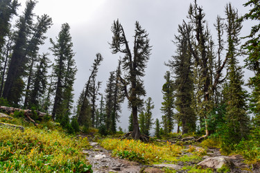 Similar image 22002026