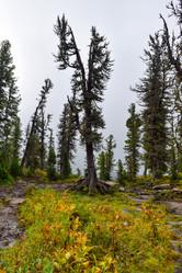 Similar image 22002027