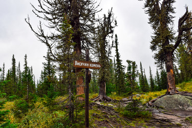 Similar image 22002028