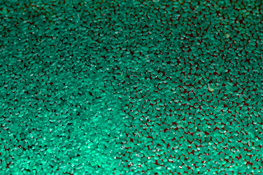 Similar image 22001877