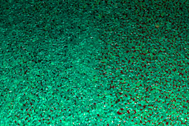 Similar image 22002396